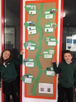 Primary Eco-Leaders