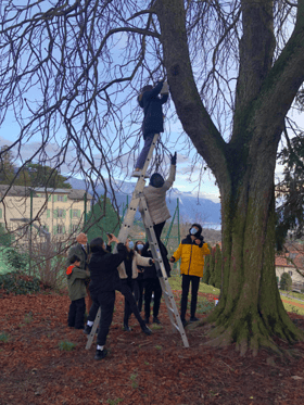 Putting up the bird feeders