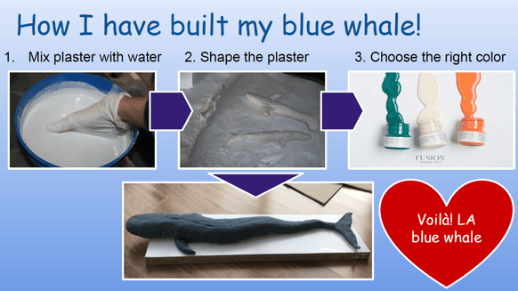 blue whale