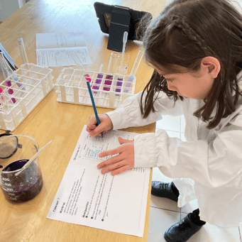 Primary science club at Haut-Lac School