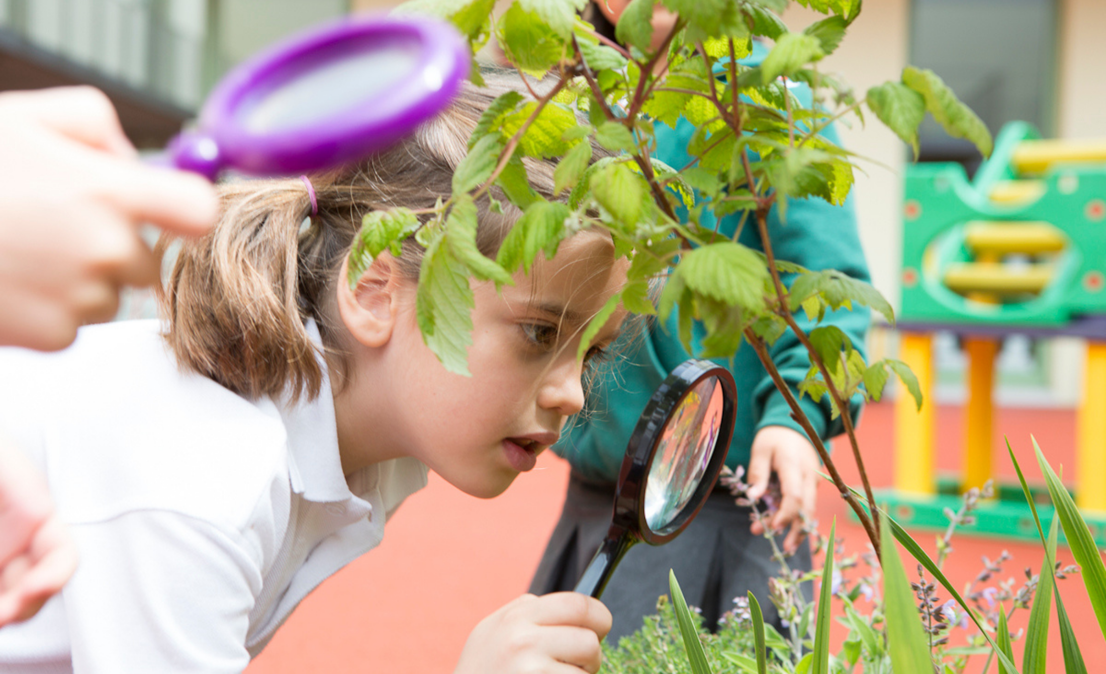 BECOMING AN ECO-SCHOOL, THE HAUT-LAC WAY